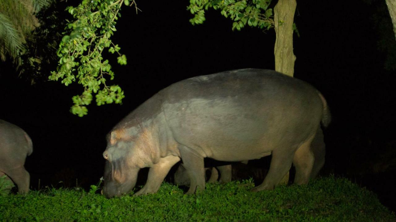 Kwalucia Private Safari Retreat Hotel St Lucia Bagian luar foto