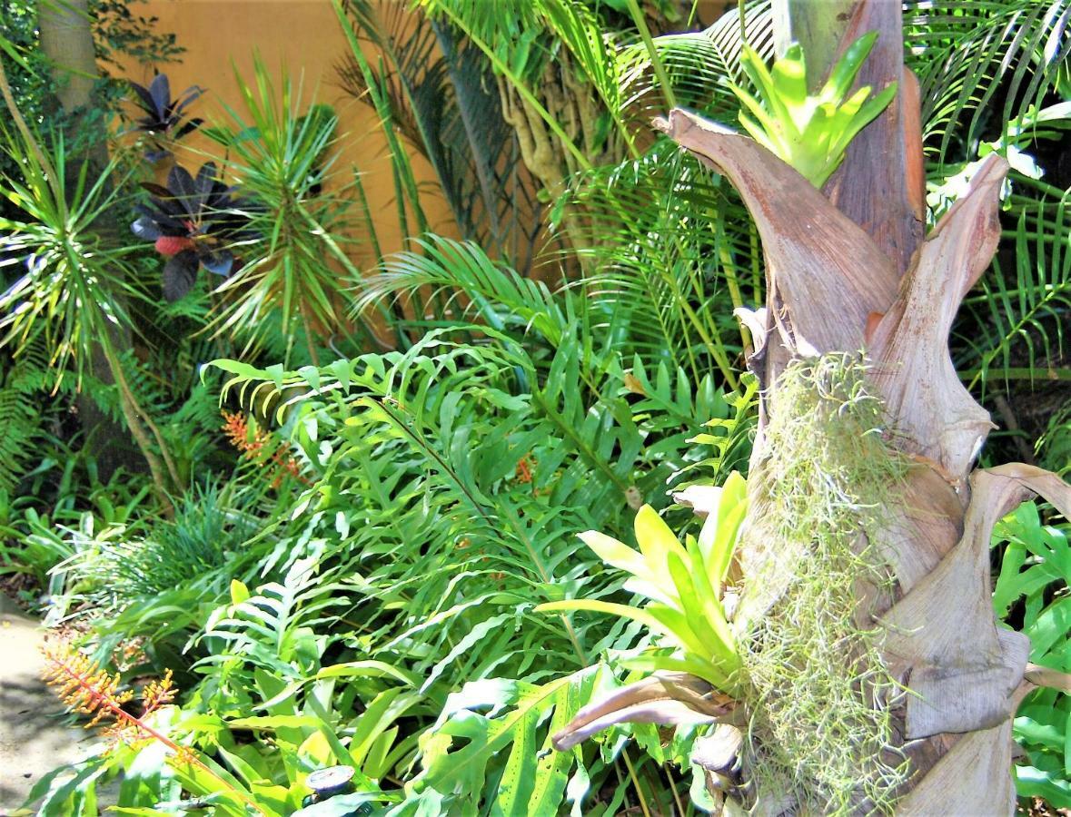 Kwalucia Private Safari Retreat Hotel St Lucia Bagian luar foto
