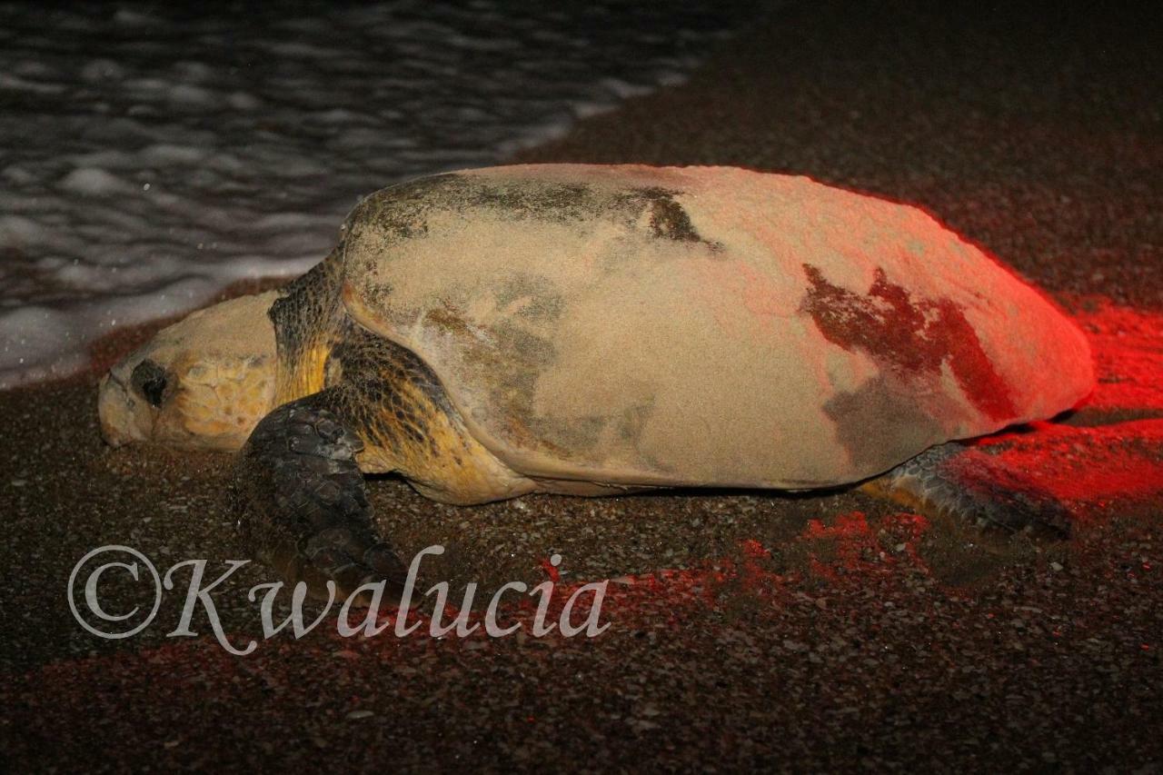 Kwalucia Private Safari Retreat Hotel St Lucia Bagian luar foto
